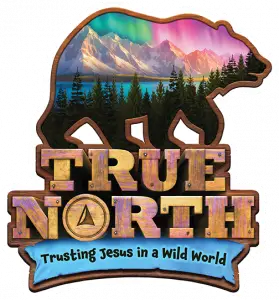 true north vbs logo