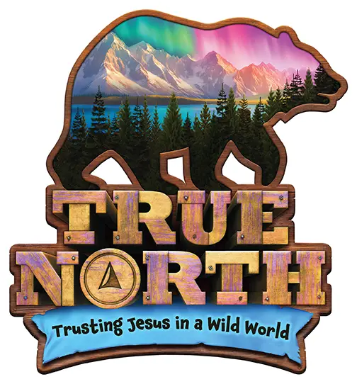 true north vbs logo